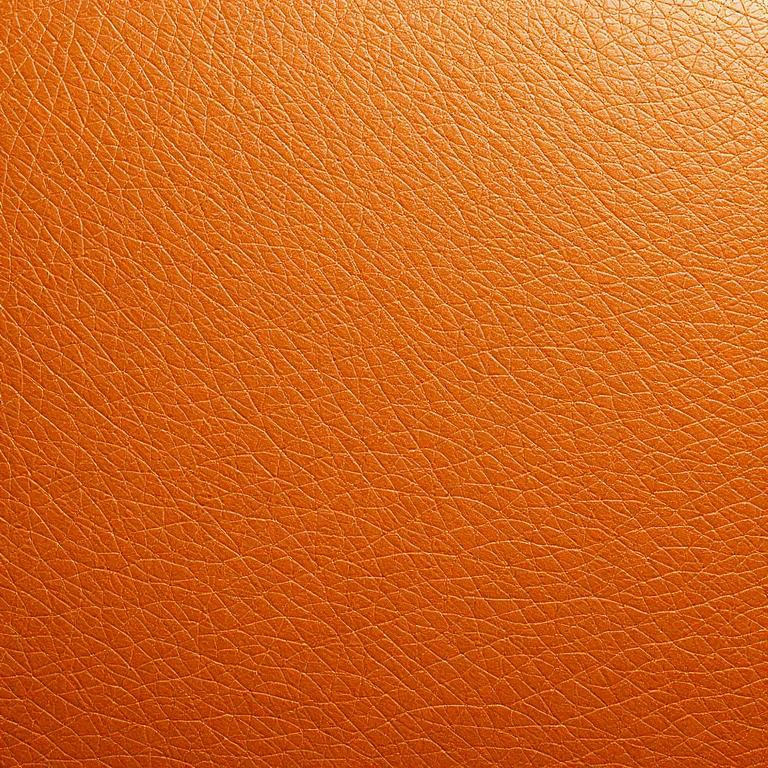 Leather swatch
